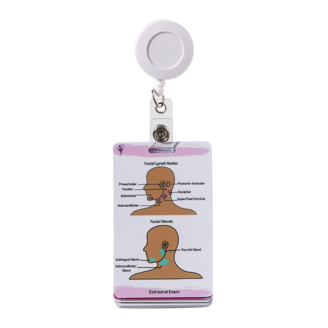 Dental Hygiene Reference Cards Dental Hygiene Seminars